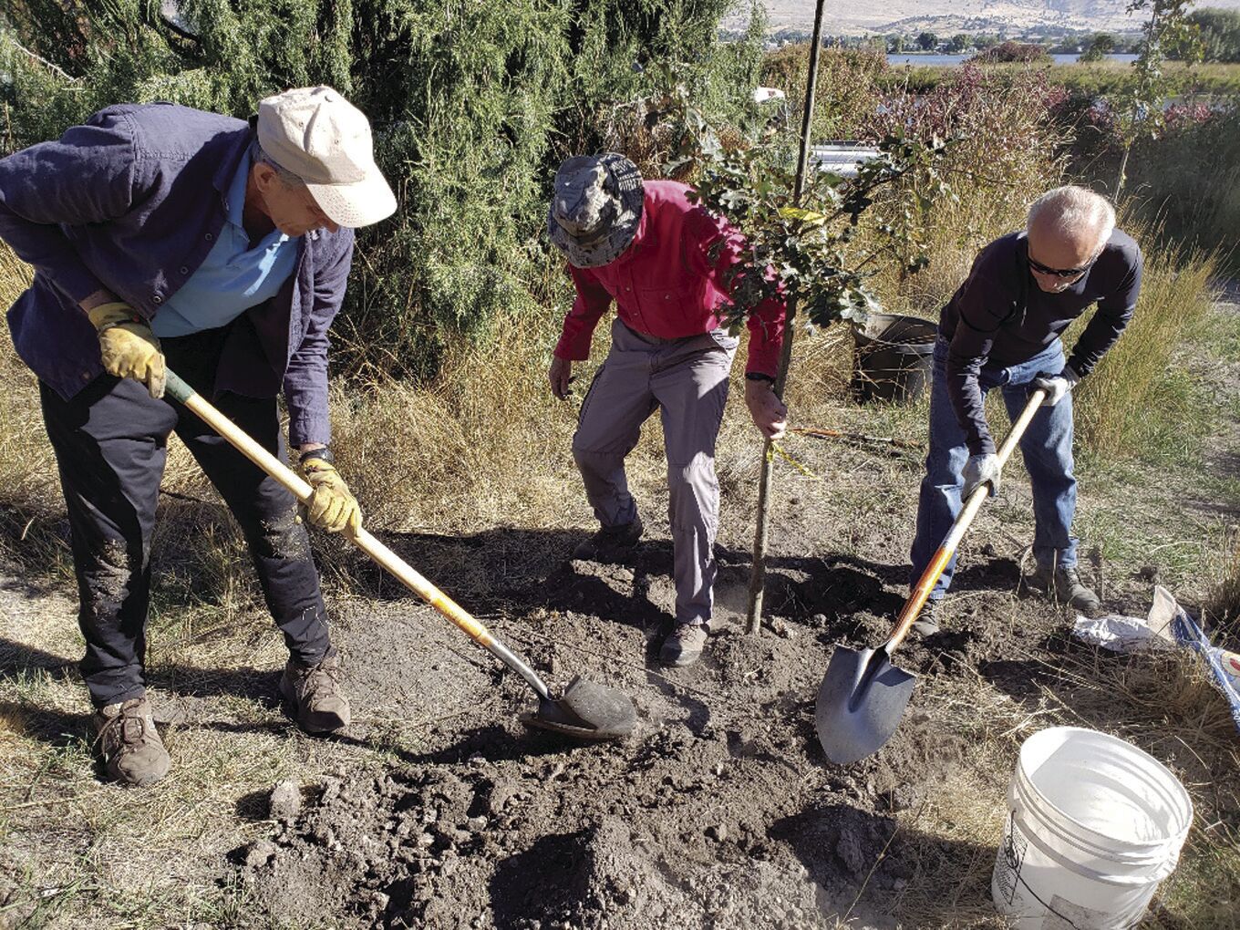 Wingwatchers maintaining, improving trails and wetlands